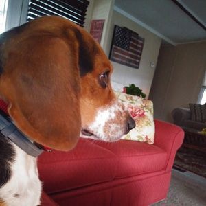 Meet your Posher, Patti